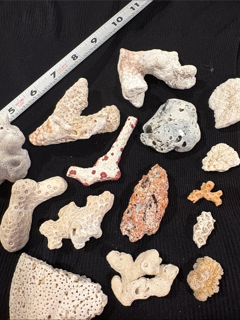Natural White and Tan Coral & Rock Habitat Accent Pieces